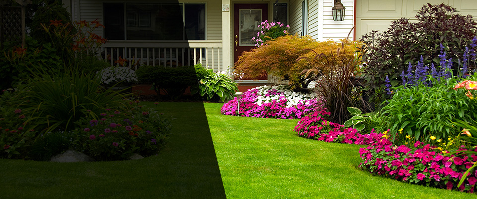 Williamson Landscapers