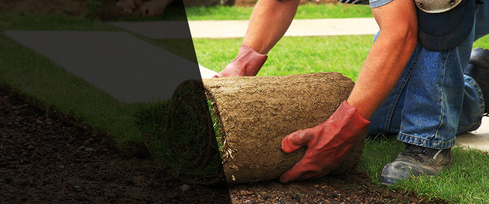 Williamson Landscapers